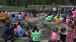 Stormwater & Trail Improvements