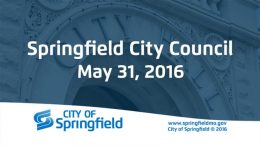 City Council Meeting - May 31, 2016