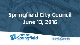 City Council Meeting - June 13, 2016