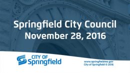 City Council Meeting - November 28, 2016