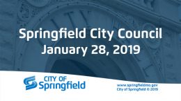 City Council Meeting - January 28, 2019