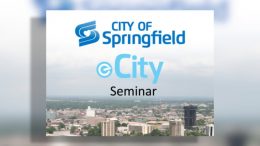E-City Seminar Presentation