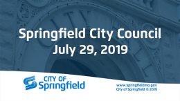 City Council Meeting - July 29, 2019