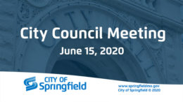 City Council Meeting - June 15, 2020