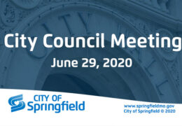 City Council Meeting - June 29, 2020