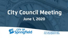 City Council Meeting - June 1, 2020