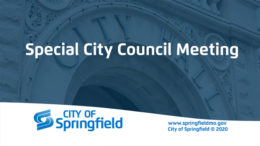 Special City Council Meeting - June 10, 2020