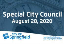 Special City Council Meeting - August 28, 2020