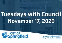Tuesdays with Council - November 17, 2020