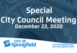 Special City Council Meeting