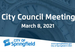 City Council Meeting - March 8, 2021