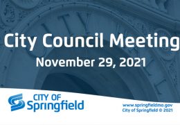 City Council Meeting - November 29, 2021